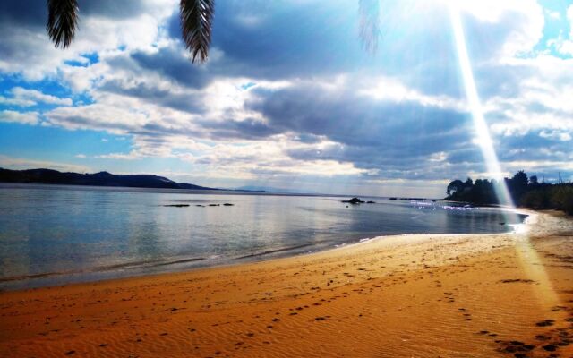 Alekos Beach Houses - Alekos Beach Complex