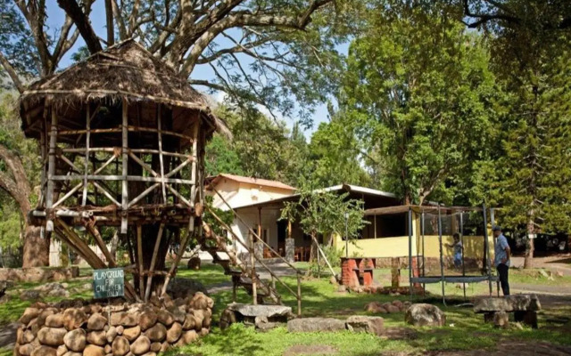 Jungle Retreat Masinagudi