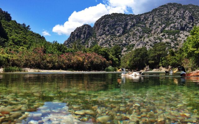 Koyevi Olympos Countryhouse