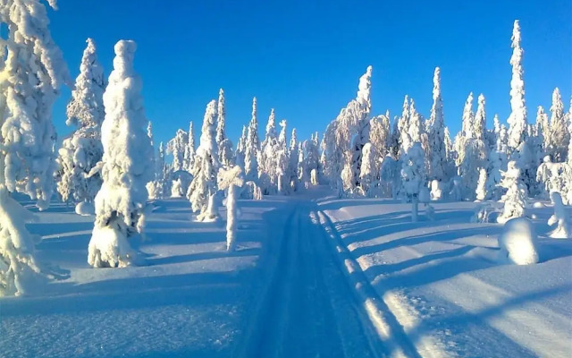 Arctic Guesthouse & Igloos