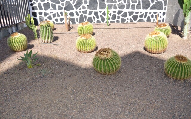 Apartamentos Los Cactus