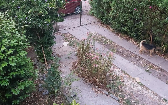 Cabaña Bosque peralta ramos