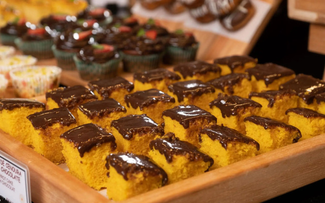 Hplus Vision Executive