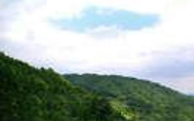 Miharashiya