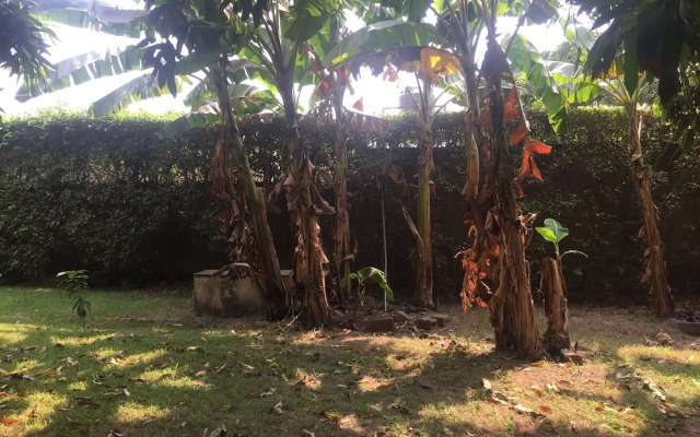 Logess Estates Guesthouse