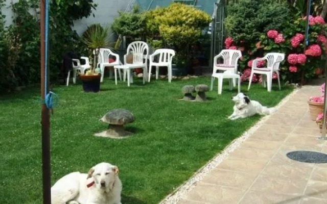 The Three Tees - Guest house