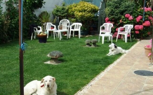 The Three Tees - Guest house