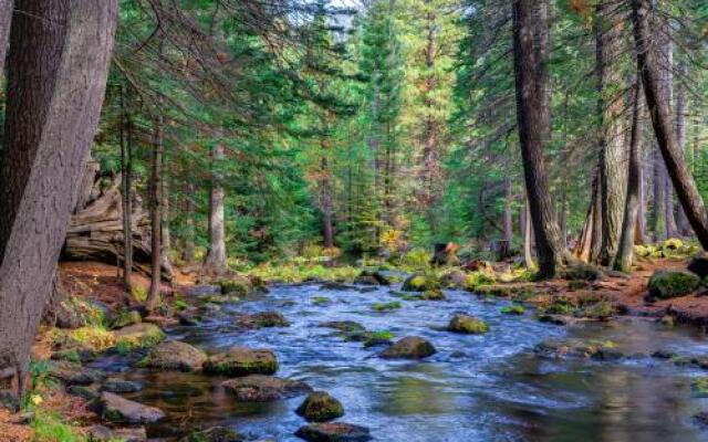Black Butte Big Meadow's 11th Fairway