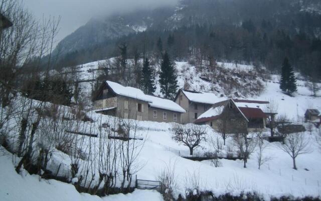 La Chouette à lheure du Pinson
