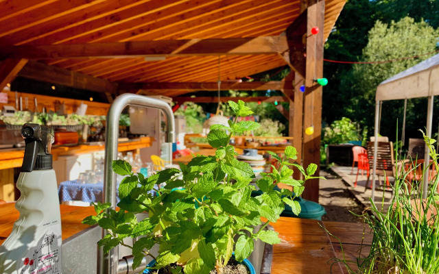 Herberg De Helleborus