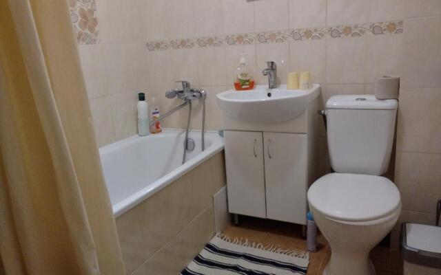 Apartment on Knyahyni Ol'hy Street