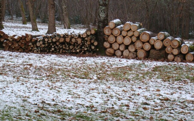 Bois de Cadène