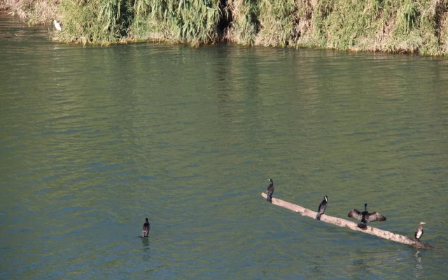 Scenic Villa With View of the Gardon River