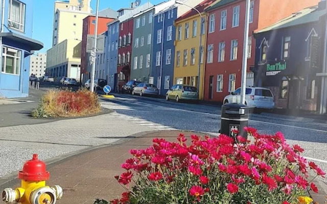 Reykjavik Center Condos