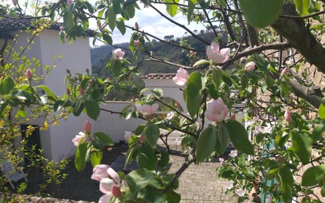 Chiantivillas Villa Torricella, 27