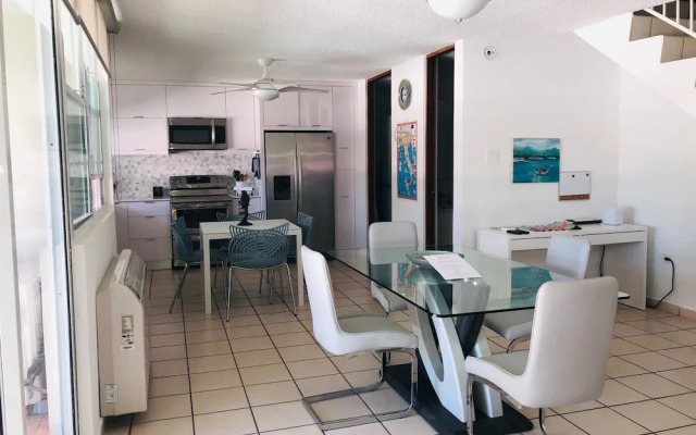 Suburb Pethouse Apartment