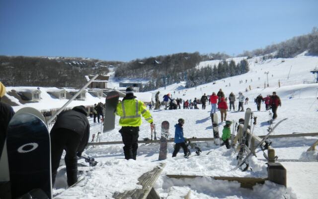 Beech Mountain Inns