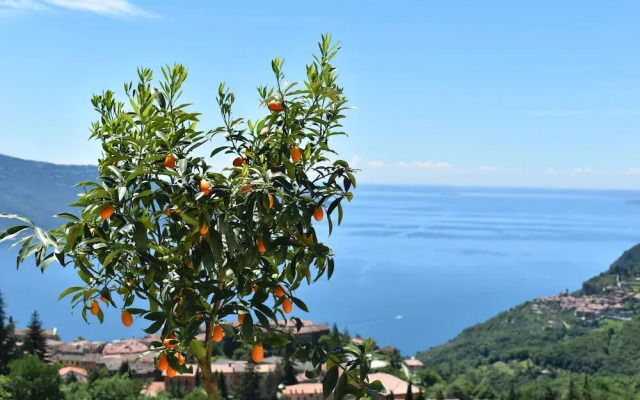 villa vigne