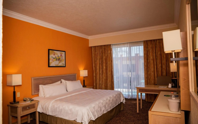 Holiday Inn La Piedad by IHG