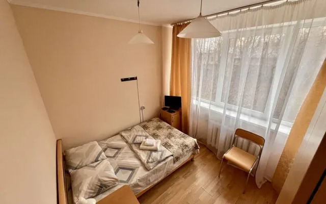 Чайка - фото 4