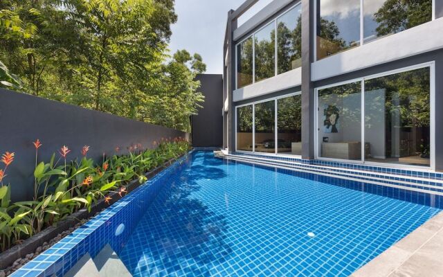 Zen Studio Suite by Holiplanet