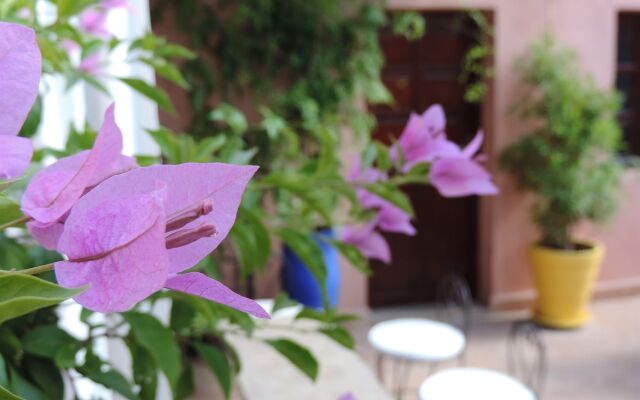 Riad Al Badia