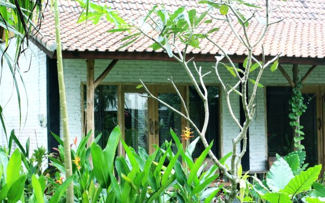 Jungle House - surf & stay
