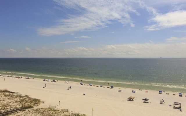 Boardwalk 485 by Youngs Suncoast