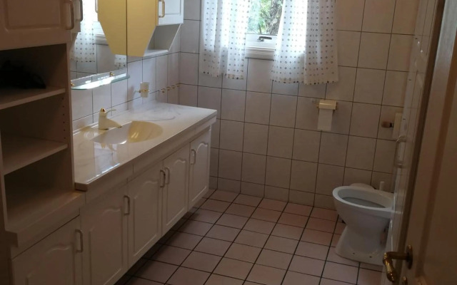 Skulebergets Frestelse