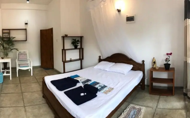 Palms Friendly House