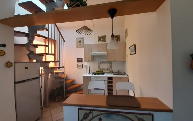 Naxos Holiday