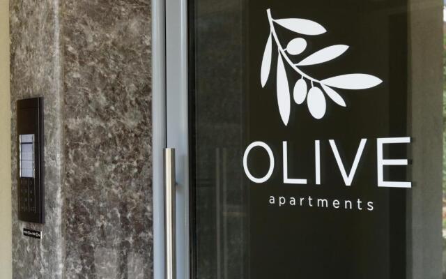 Olive 103