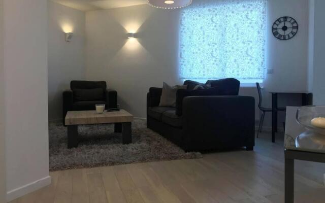 Appartement 2P Strasbourg centre - Homme de fer