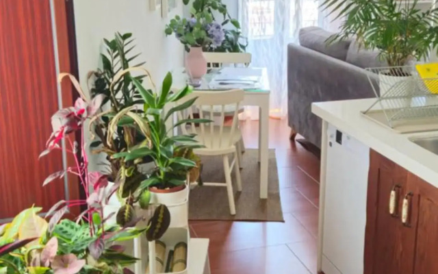 Apartamentos Los Descalzos Ángel