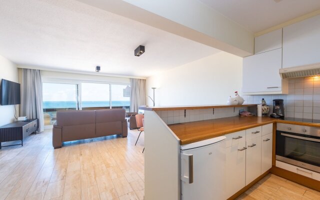 Spacious Apartment With Terrace