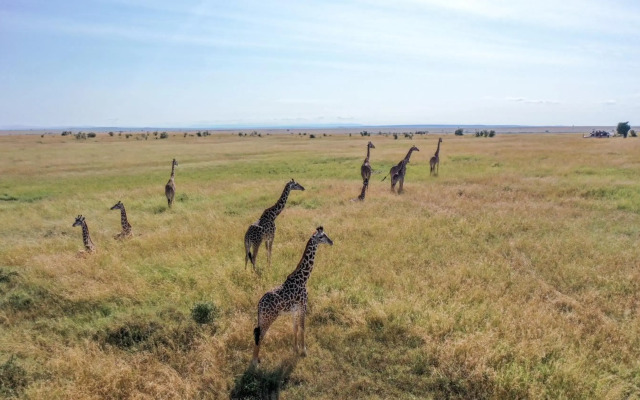 Sentrim Mara Game Lodge