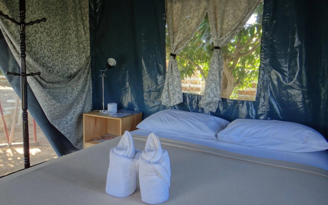 The Camping Field