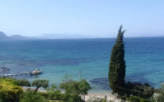 Aliki Studios