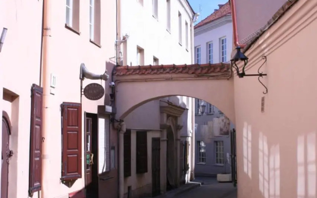 Old Town Apartment Antokolskio