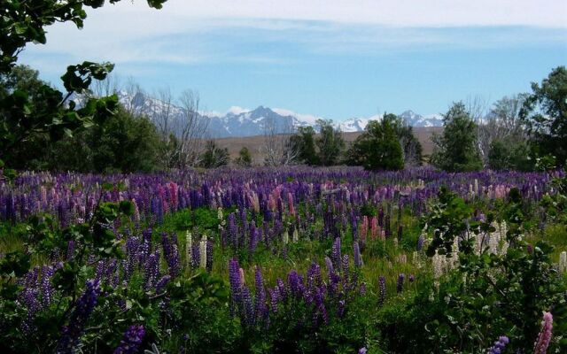 Lakeview Tekapo