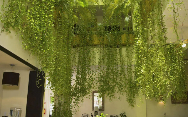 Hotel Los Itzaes by 5th av