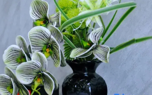 Pingshe Homestay