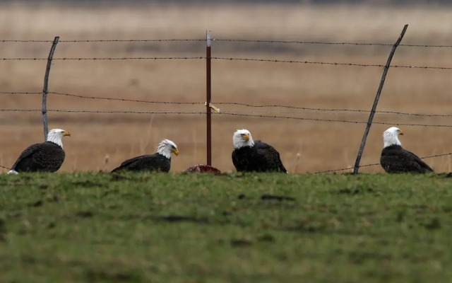 Carson Valley Motor Lodge & Suites