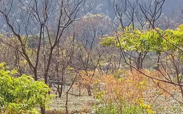 Vamoose Jharna Tabakoshi