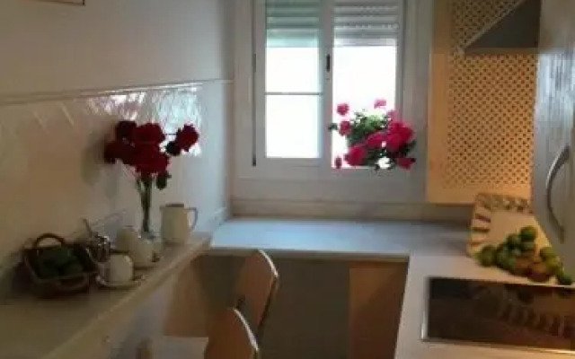 Quartos City Apartments Carmona