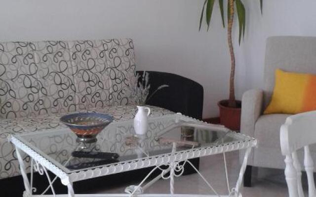Apartment Delfina