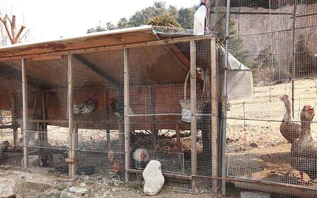 Asteria Pension