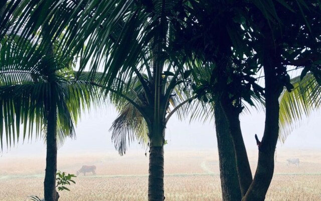 Aminvilla Resort