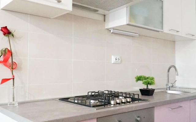 Apartment Anica