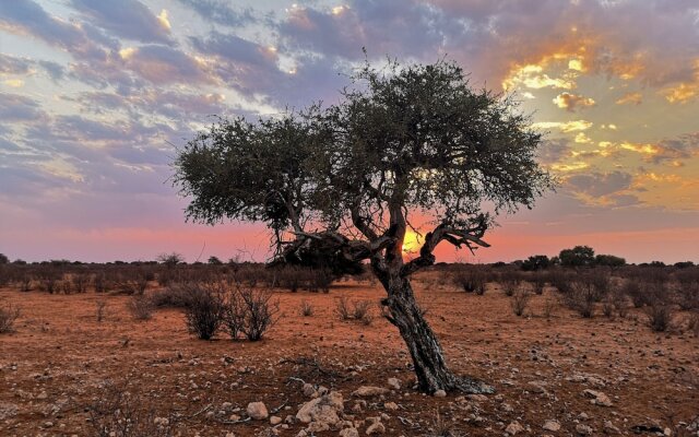 Kalahari Anib Camping2Go
